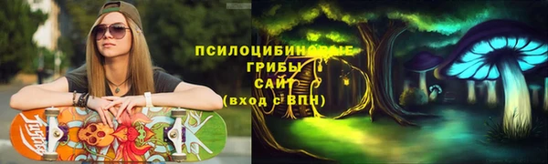 соль ск Аркадак