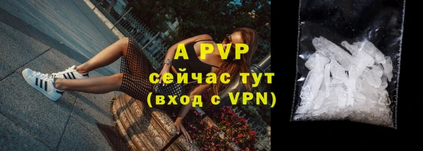 винт Арсеньев